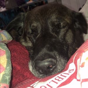 Meet your Posher, Jordan